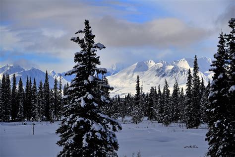 U.S. moves to protect 28 million acres in Alaska from drilling, mining.